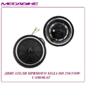 ДВИГАТЕЛЬ DD ПРЯМОГО ХОДА 250/350W