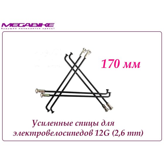 УСИЛЕННЫЕ СПИЦЫ 12G 170 mm 