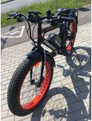 Электровелосипед Fat Bike FAVORIT 750W с багажником 