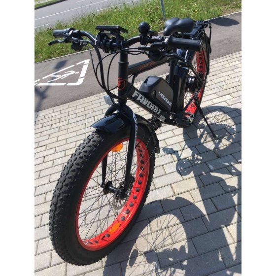 Электровелосипед Fat Bike FAVORIT 750W с багажником 