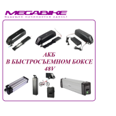 АКБ В БЫСТРОСЪЕМНОМ БОКСЕ 48V 